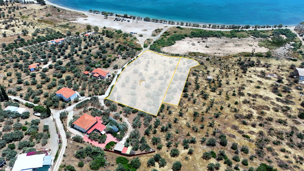 Αγροτεμάχια 8.504,29 τ.μ. πρός πώληση, Αργολίδα, Ερμιόνη