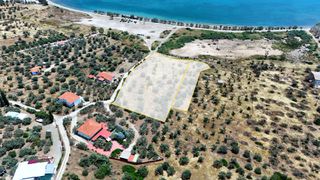 Αγροτεμάχια 8.504,29 τ.μ. για πώληση