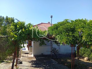 Detached home 120 sqm for sale, Epia, Messinia-thumb-9