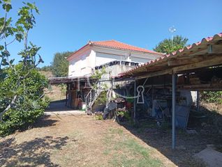 Detached home 120 sqm for sale, Epia, Messinia-thumb-28