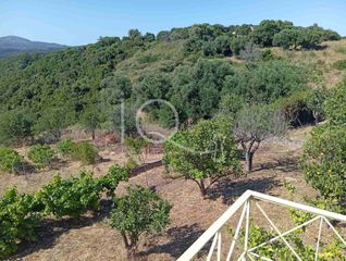 Detached home 120 sqm for sale, Epia, Messinia-thumb-17