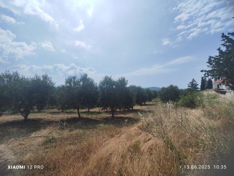 Οικόπεδο 1.000 τ.μ. για πώληση