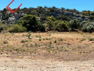 Land plot 242 sqm for sale