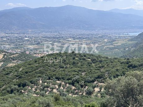 Αγροτεμάχια 8.843τ.μ. για πώληση-Αισωνία » Παλιούρι