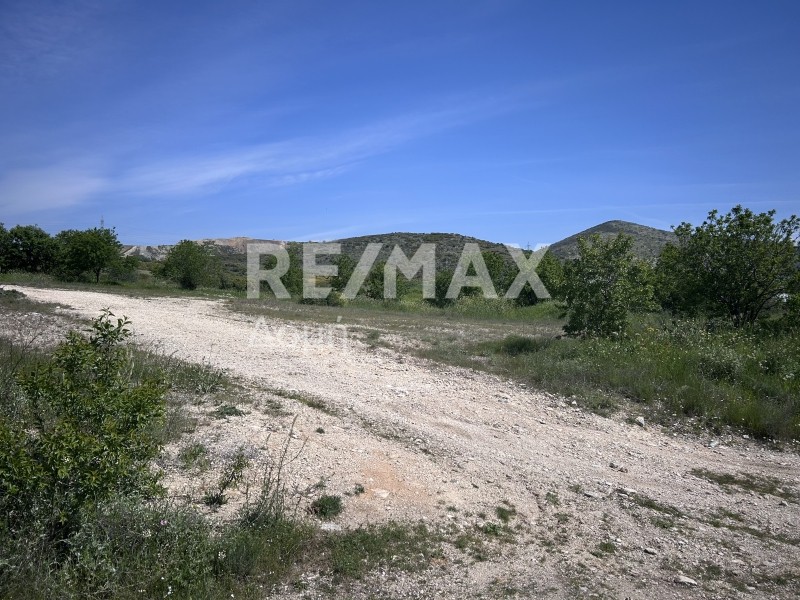 Αγροτεμάχια 5.417 τ.μ. πρός πώληση, Μαγνησία, Αισωνία
