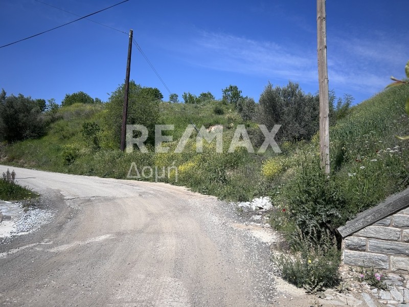 Αγροτεμάχια 5.417 τ.μ. πρός πώληση, Μαγνησία, Αισωνία