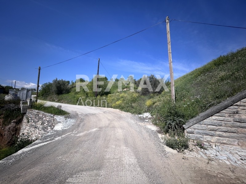 Αγροτεμάχια 5.417 τ.μ. πρός πώληση, Μαγνησία, Αισωνία