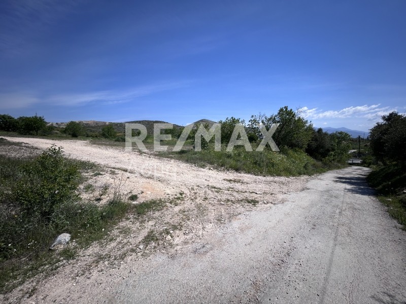 Αγροτεμάχια 5.417 τ.μ. πρός πώληση, Μαγνησία, Αισωνία