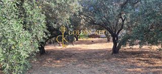 Οικόπεδο 365 τ.μ. για πώληση, Ν. Καβάλας, Ελευθερές-thumb-1