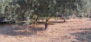 Οικόπεδο 365 τ.μ. για πώληση, Ν. Καβάλας, Ελευθερές-thumb-2