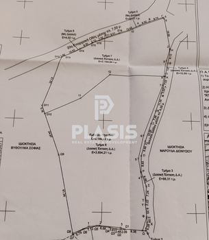 Οικόπεδο 16.508τ.μ. για πώληση-Περιοχη χώρας