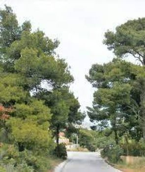 Land plot 1.500sqm for sale-Pikermi » Ntrafi