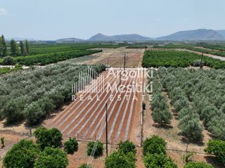 Αγροτεμάχια 1.394 τ.μ. για πώληση