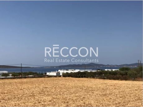 Parcel 8.000sqm for sale-Paros » Aliki