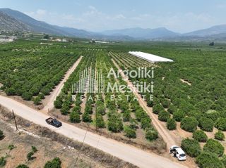 Αγροτεμάχια 4.089 τ.μ. για πώληση