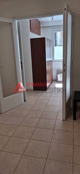 Studio 40 sqm for rent