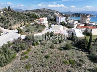 Οικόπεδο 4.500 τ.μ. για πώληση, Αργολίδα, Ασίνη-thumb-10