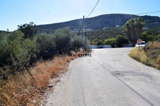 Οικόπεδο 4.500 τ.μ. για πώληση, Αργολίδα, Ασίνη-thumb-17