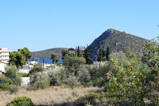 Οικόπεδο 4.500 τ.μ. για πώληση, Αργολίδα, Ασίνη-thumb-4