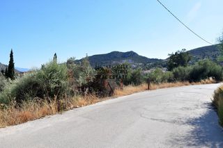 Οικόπεδο 4.500 τ.μ. για πώληση, Αργολίδα, Ασίνη-thumb-15