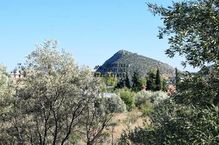 Οικόπεδο 4.500 τ.μ. για πώληση, Αργολίδα, Ασίνη-thumb-20