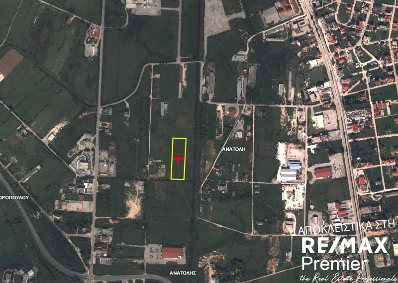Αγροτεμάχια 7.813 τ.μ. πρός πώληση, Ν. Ιωαννίνων, Ανατολή