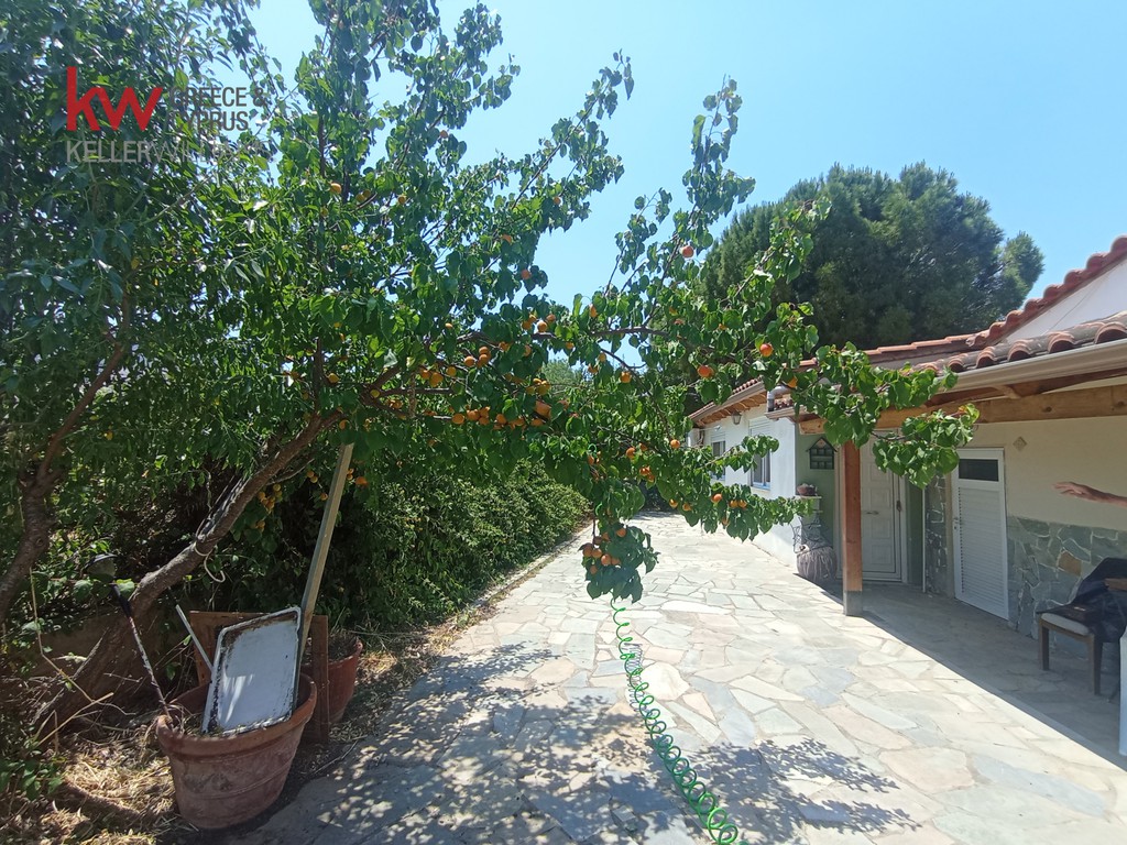 Μονοκατοικία 60 τ.μ. προς πώληση, Κέντρο Μαρκοπούλου
