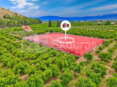 Οικόπεδο 2.000τ.μ. για πώληση-Νέα τίρυνθα