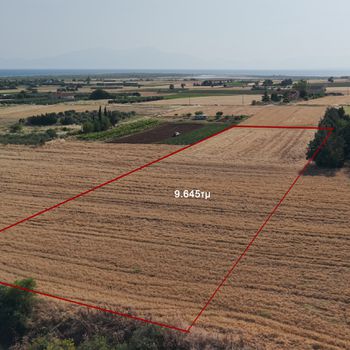 Αγροτεμάχια 9.645 τ.μ. για πώληση