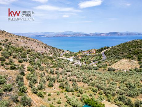 Land plot 4.260sqm for sale-North Kinouria