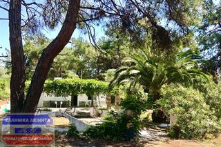 Μονοκατοικία 83 τ.μ. για πώληση, Ν. Καβάλας, Θάσος-thumb-1