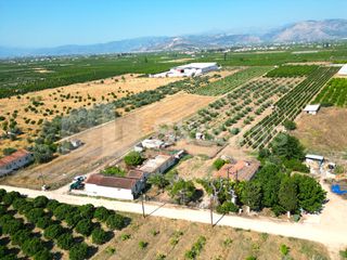 Μονοκατοικία 75 τ.μ. για πώληση, Αργολίδα, Άργος-thumb-4