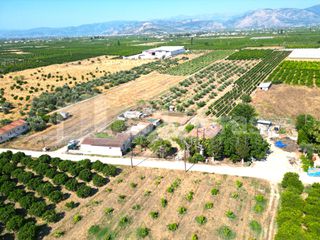 Μονοκατοικία 75 τ.μ. για πώληση, Αργολίδα, Άργος-thumb-16