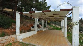 Μονοκατοικία 290 τ.μ. για πώληση, Αργολίδα, Ερμιόνη-thumb-19