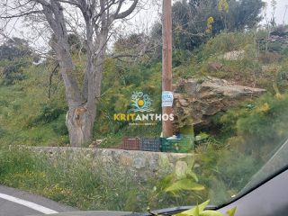Οικόπεδο 259 τ.μ. για πώληση, Ν. Ρεθύμνου, Λάμπη-thumb-19