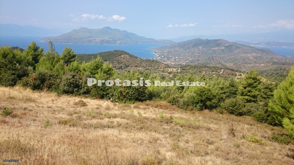 Αγροτεμάχια 6.206 τ.μ. για πώληση, Εύβοια, Αιδηψός