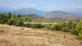 Αγροτεμάχια 6.206 τ.μ. για πώληση