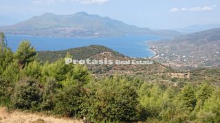 Αγροτεμάχια 6.206 τ.μ. για πώληση, Εύβοια, Αιδηψός-thumb-1