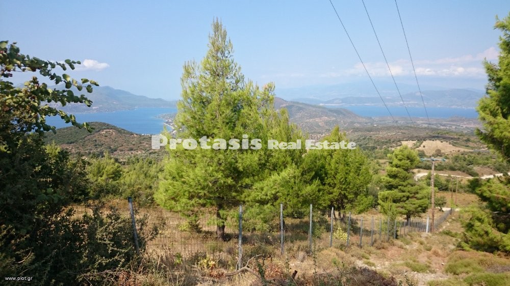 Αγροτεμάχια 6.206 τ.μ. προς πώληση, Άγιος Αιδηψού