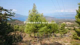 Αγροτεμάχια 6.206 τ.μ. για πώληση, Εύβοια, Αιδηψός-thumb-2