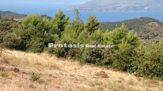 Αγροτεμάχια 6.206 τ.μ. για πώληση, Εύβοια, Αιδηψός-thumb-3