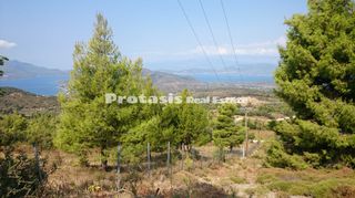 Αγροτεμάχια 6.206 τ.μ. για πώληση, Εύβοια, Αιδηψός-thumb-4