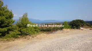 Αγροτεμάχια 6.206 τ.μ. για πώληση, Εύβοια, Αιδηψός-thumb-5