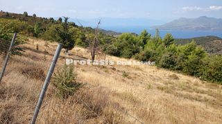 Αγροτεμάχια 6.206 τ.μ. για πώληση, Εύβοια, Αιδηψός-thumb-6