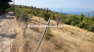 Αγροτεμάχια 6.206 τ.μ. για πώληση, Εύβοια, Αιδηψός-thumb-7