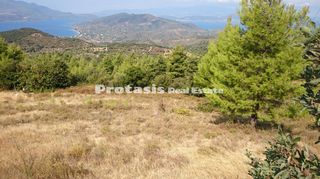 Αγροτεμάχια 6.206 τ.μ. για πώληση, Εύβοια, Αιδηψός-thumb-8