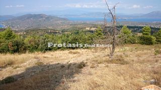 Αγροτεμάχια 6.206 τ.μ. για πώληση, Εύβοια, Αιδηψός-thumb-9