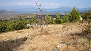 Αγροτεμάχια 6.206 τ.μ. για πώληση, Εύβοια, Αιδηψός-thumb-10