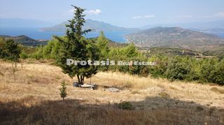Αγροτεμάχια 6.206 τ.μ. για πώληση, Εύβοια, Αιδηψός-thumb-11
