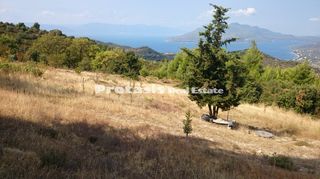 Αγροτεμάχια 6.206 τ.μ. για πώληση, Εύβοια, Αιδηψός-thumb-12